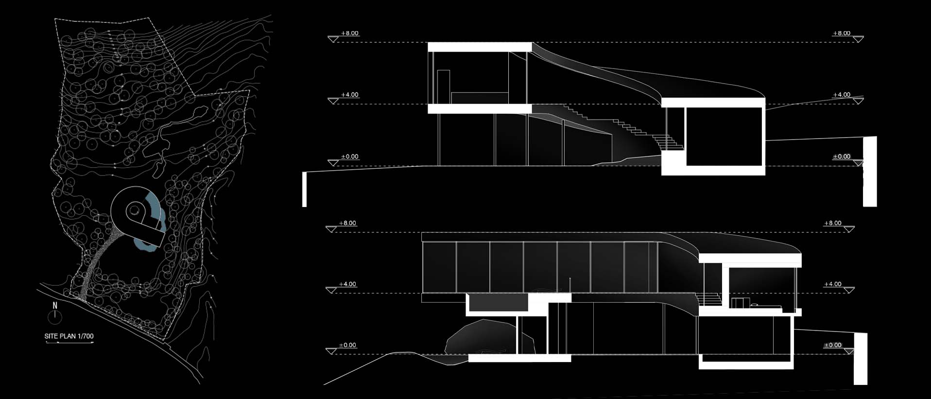 Rooted in Time site plan at 1:700 and two building sections with levels from ±0.00 to +8.00